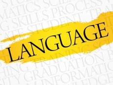 LANGUAGE word cloud, education business concept